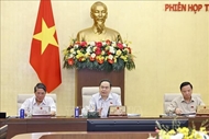 National human resources development strategy to 2030 urged